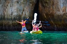 Private Los Cabos Arch and Playa del Amor Tour by Glass Bottom Kayak