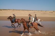 Private Essaouira Excursion from Marrakech