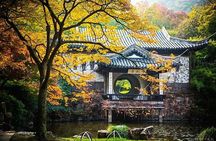 4-Hour Wuxi Private Tour: Huishan Old Town, Jichang Garden and Nanchan Temple 