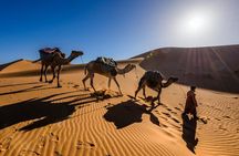 Marrakech, Essaouira and Merzouga Desert to Fes - 6 Days