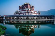 Wuxi Private Day Tour with Lingshan Buddhist Scenic Spot and Taihu Yuantouzhu