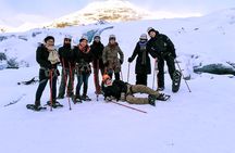 Glacier Hike and South Iceland Sightseeing from Reykjavik