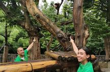 Private Half Day Panda Volunteer Tour