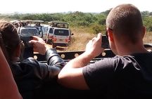 Tsavo East National Park small group tour