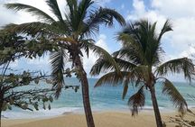 Full-Day Private Boat Charter Caribbean adventure