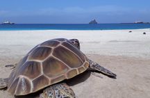 Full-Day Private Boat Charter Caribbean adventure