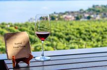 Kelowna or West Kelowna Afternoon Sightseeing Wine Tour