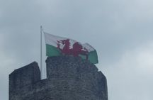 Sightseeing Tour Cardiff Bay and Vale of Glamorgan Full-Day Driver Guided 