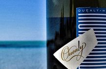 Mornington Peninsula 2-6 guests Lunch and inc Wine Tasting at Quealy Winemakers 