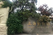 Shanghai Private Tour of Zhujiajiao Ancient Town, Shanghai Zoo,Longhua Temple