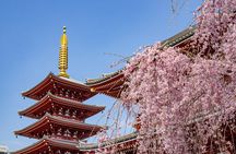Tokyo Personalized Full-day Tour Led by a Local Expert