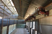 Bladensburg National Park Half Day Tour From Winton