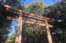 Tokyo Personalized Full-day Tour Led by a Local Expert