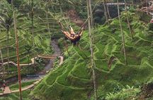 Bali Benoa Shore Excursion for cruise's passenger - All Inclusive