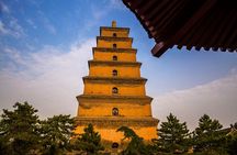Bullet Train 2-day Tour from Beijing to Xi'an Terracotta Warriors & City Wall 