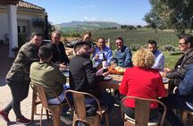 Guided tour with tasting