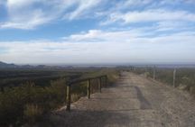 Private Tour from Mendoza to the Divisadero Largo