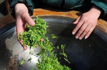 Experience Chengdu: Private Tea-Making Day Tour of Mengdingshan Tea Plantation