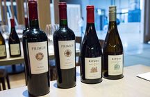 Premium Wine Tasting in Santiago de Chile