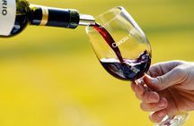 Premium Wine Tasting in Santiago de Chile