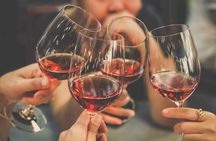 Premium Wine Tasting in Santiago de Chile
