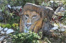 Ahhh Ras Natango Gallery and Garden Private Transfer 