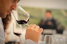 Wine Tasting Experience at the organic winery in Šišan