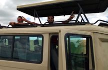 Arusha National Park Half Day Tour
