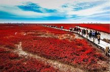 All-Inclusive Private Day Tour to Red Beach in Panjin City