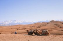 Marrakech: Magical Dinner In the Desert, Camel Ride and Fire show