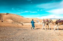 Marrakech: Magical Dinner In the Desert, Camel Ride and Fire show