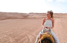 Full-Day Agafay Desert Adventure & Atlas Mountains from Marrakech