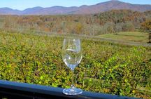North Georgia Wine Country Tour from Atlanta