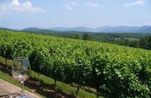North Georgia Wine Country Tour from Atlanta