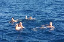 Authentic Barcelona Sailing Tour with Swim & Drinks