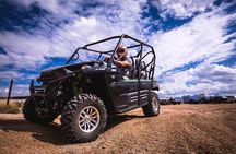 Scottsdale & Phoenix Guided Desert UTV Tour 
