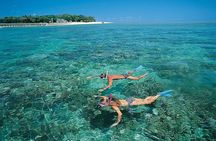 Dolphins and Snorkeling at Mnemba Island reef - Snacks Included