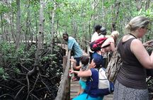 Stone Town, Spice Tour and Jozani Forest