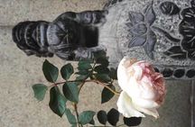 Private Day Tour in Guangzhou: Huangpu Old Port, Baomo Garden, Day Cruise etc.