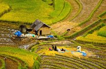 Sapa Villages trekking and homestay 2 Days/ 1 night package tour: best selling