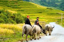 Sapa Villages trekking and homestay 2 Days/ 1 night package tour: best selling