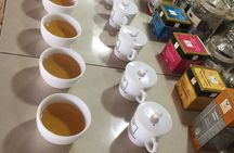 Galle Fort And Tea Factory Visit