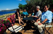 3 Days Private Tour - Kalavryta, Olympia, Nafplio, Epidavros, Mycenae Corinth 