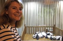 Private Chengdu Highlights Day Trip: Panda Base and City from Xi'an by Train