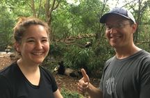 Private Day Tour: Chengdu Panda Base and Leshan Grand Buddha