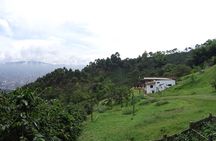 TOUR the Coffee Soul: Premium Coffee and Tasting Tour