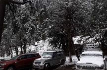 3 Days Kalinchowk Trekking from Kathmandu 