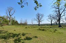 Canoeing and Nature Walk in Chitwan National Park