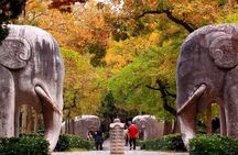 6-Hour Private Tour of Xiaoling Tomb,City Wall & Memorial Hall 