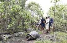 11 Days Galapagos Full Experiences " Santa Cruz- Isabela - San Cristobal "
